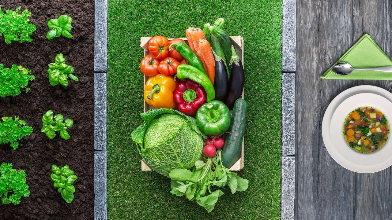 Culinary Blockchain