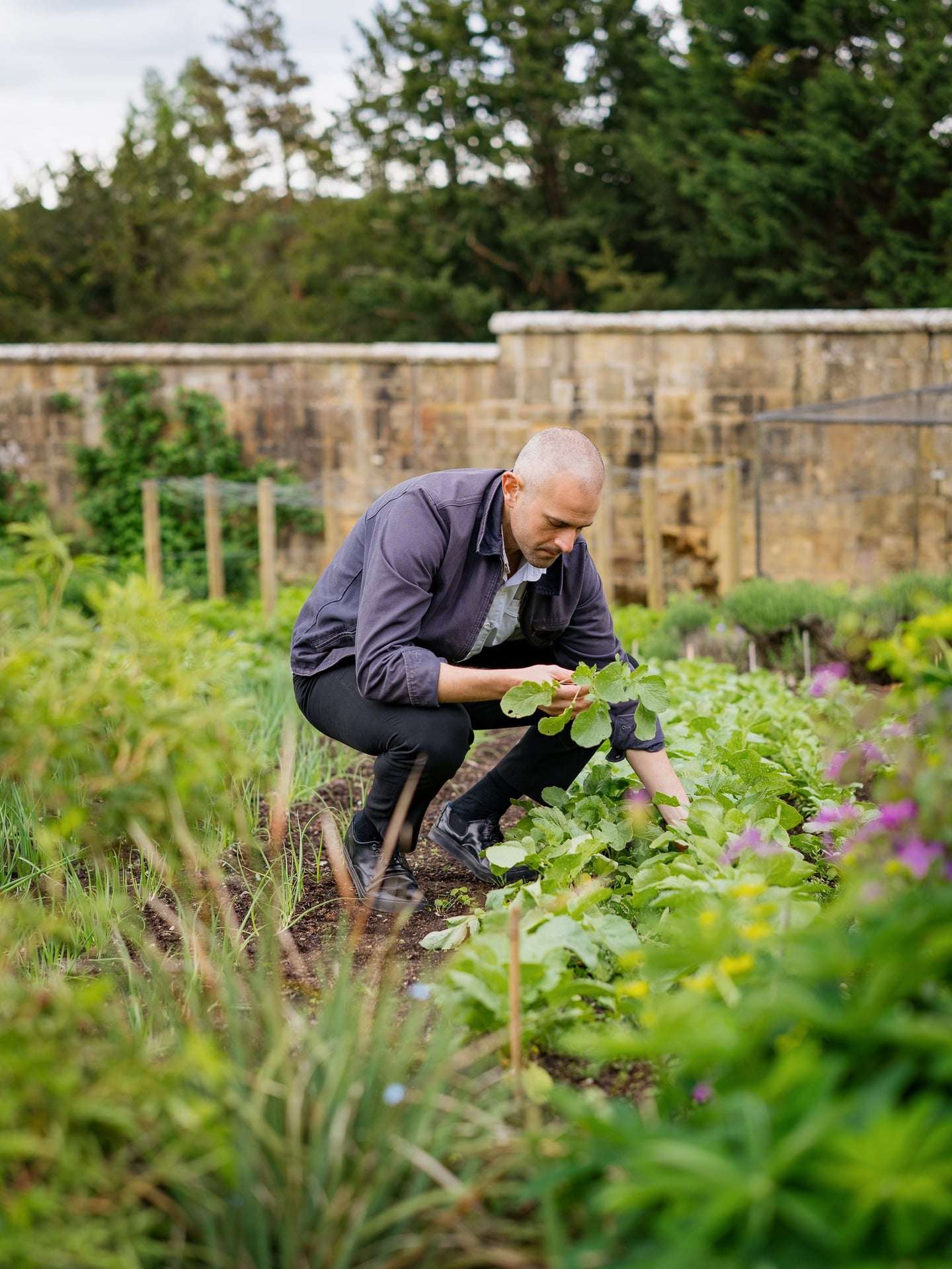 In the Kitchen Garden with Martin Carabott for the Spring collection 2026 by All4Chefs & Chefs MAG