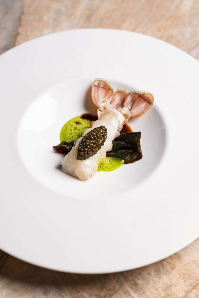 Ricardo-Silva-Onor-France-Langoustine-Spring-Collection-2026-by-All4Chefs